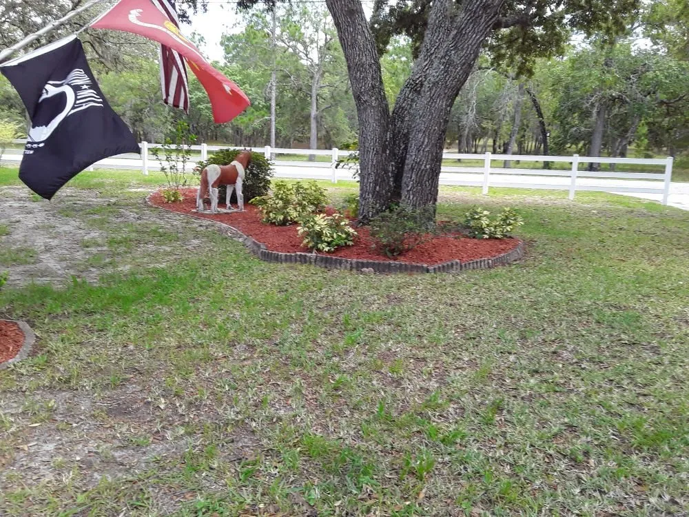 Trusted lawn care service near you in Hudson, FL by L&T tree service