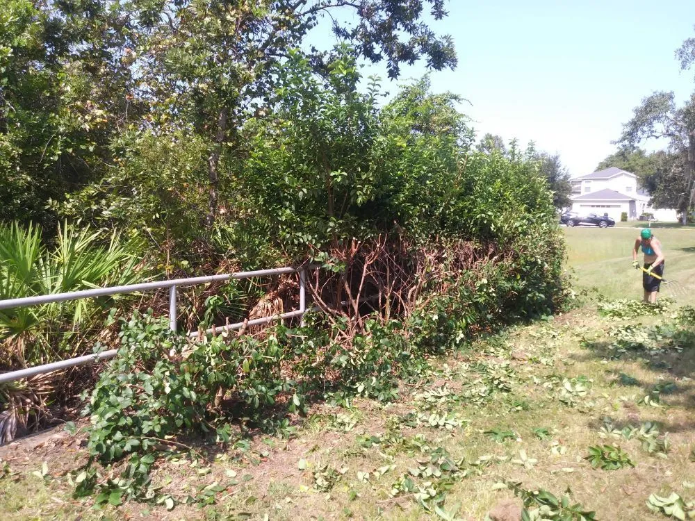 Reliable lawn mowing service experts serving Hudson, FL - L&T tree service