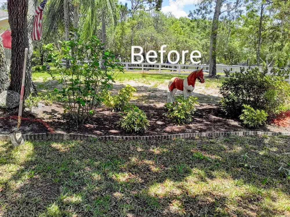 Professional landscape installation in Hudson, FL by L&T tree service