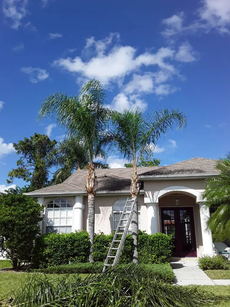 Trusted lawn care service with custom design in Hudson, FL by L&T tree service