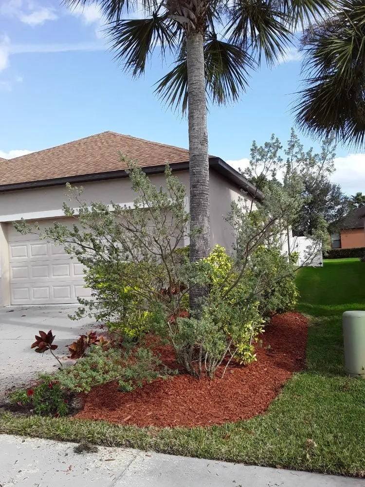 Expert outdoor landscaping for homes across Hudson, FL - L&T tree service