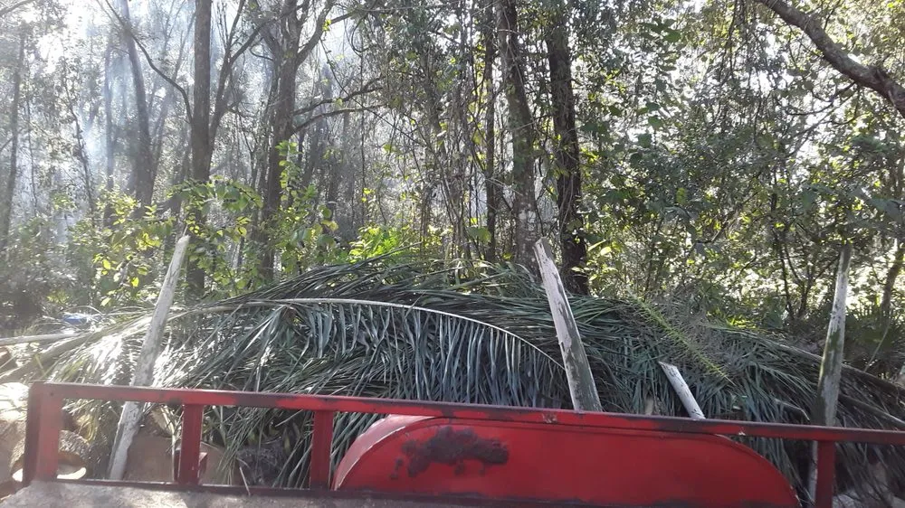 Expert garden landscaping near you across Hudson, FL - L&T tree service