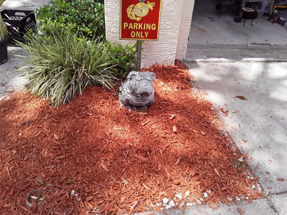 Top-rated landscaping services in Hudson, FL by L&T tree service