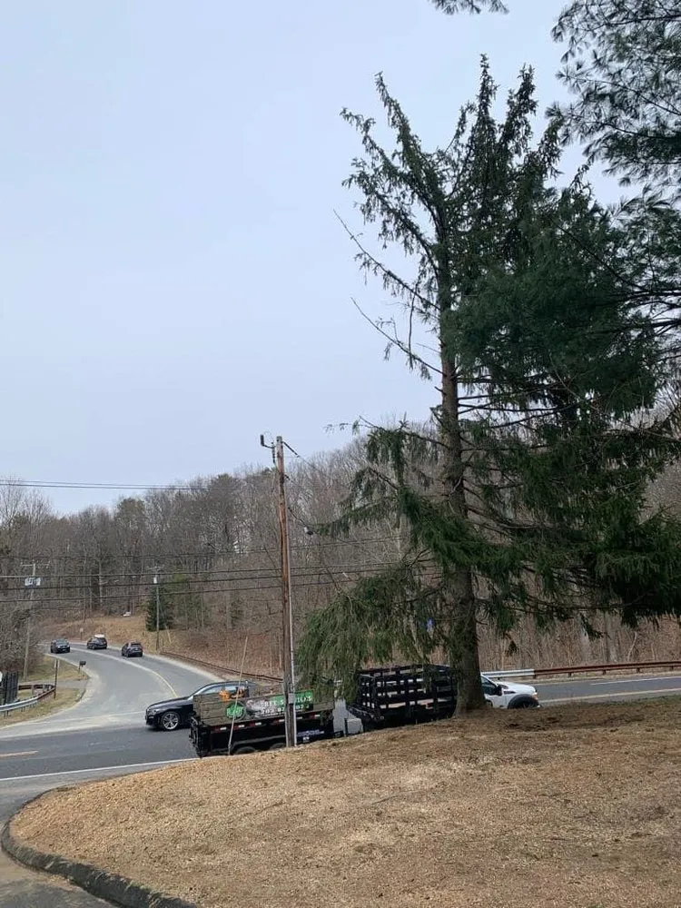 Trusted outdoor landscaping experts serving Danbury, CT - L&t Tree Services