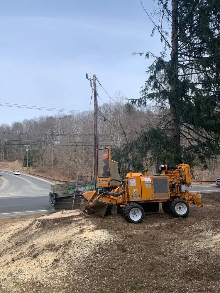 Affordable landscape installation near you across Danbury, CT - L&t Tree Services