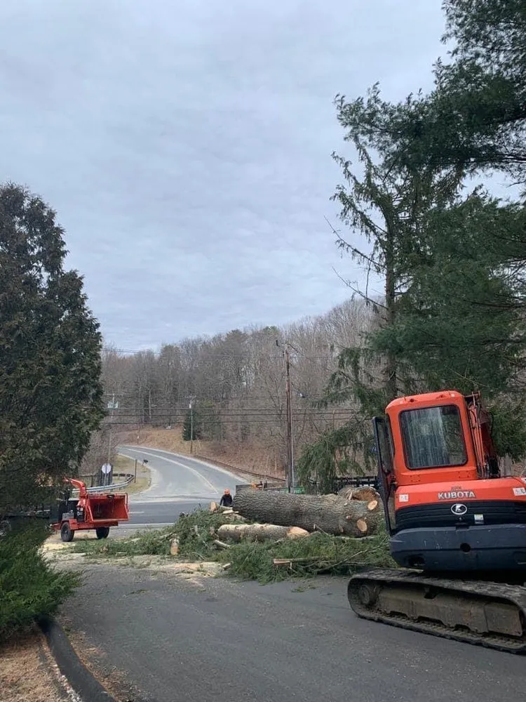 Trusted outdoor landscaping for homes across Danbury, CT - L&t Tree Services