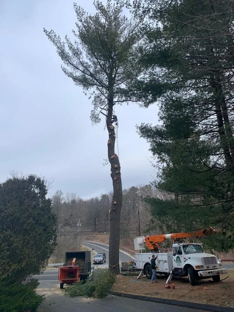 Reliable landscaping services in Danbury, CT by L&t Tree Services