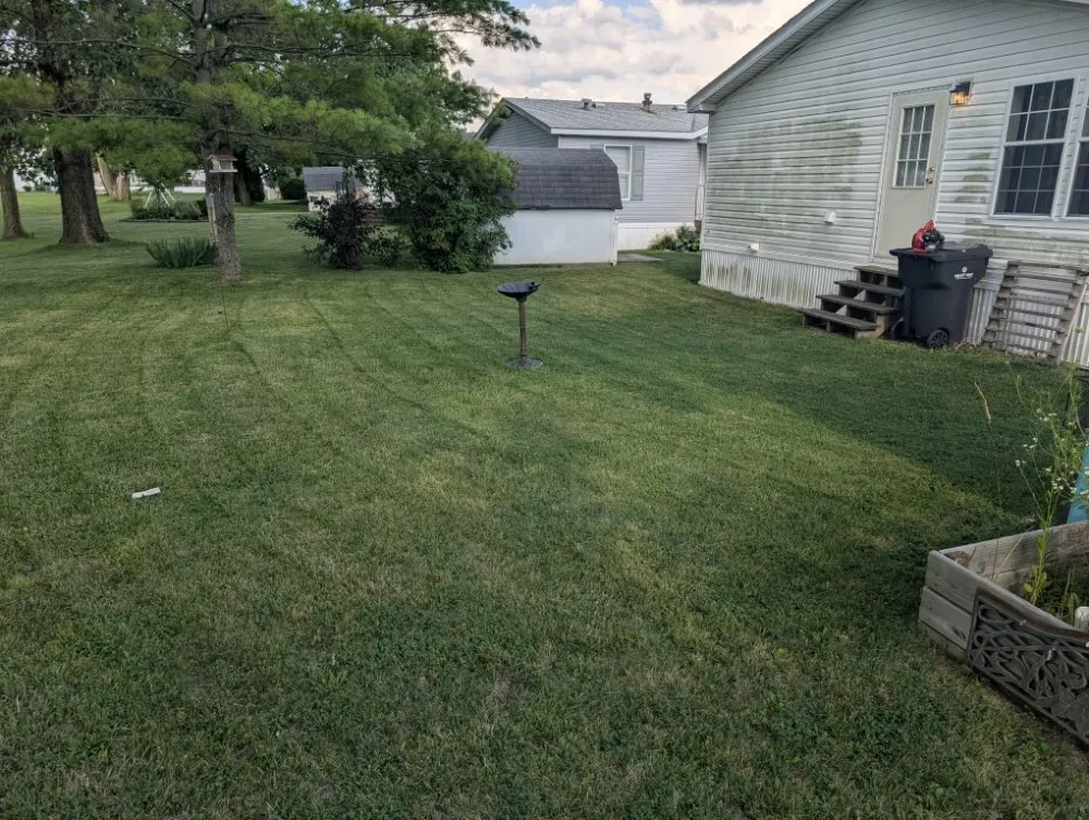 Expert yard cleanup service experts serving Pendleton, IN - LTB Landscaping and Snow Removal