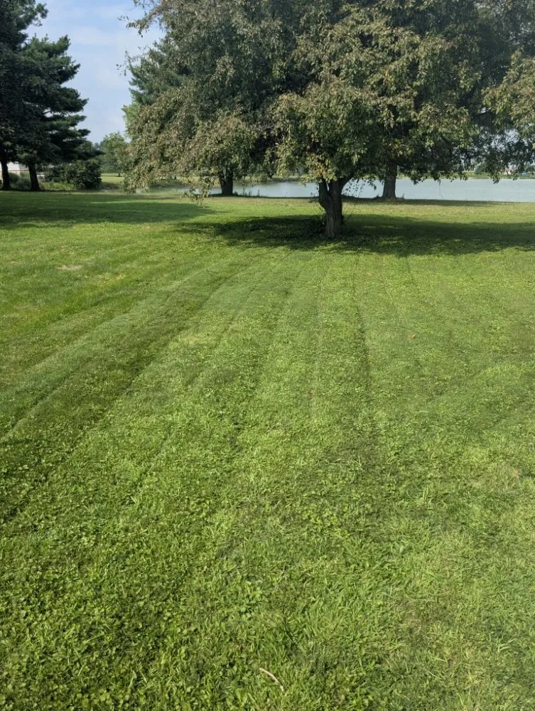 Local yard maintenance for outdoor upgrades across Pendleton, IN - LTB Landscaping and Snow Removal