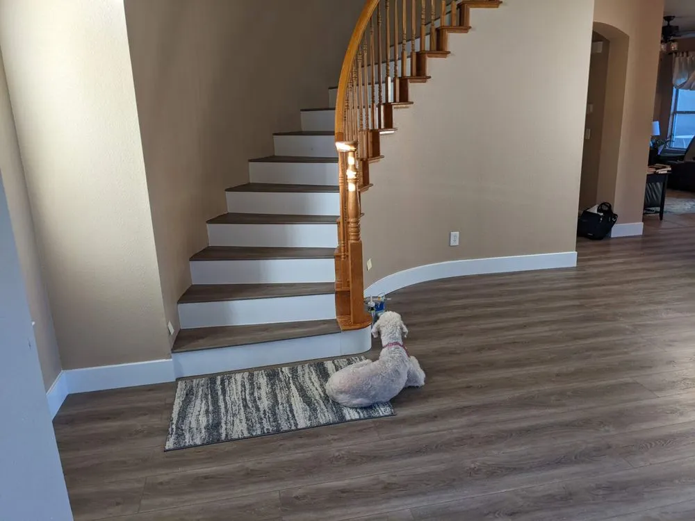 Affordable yard cleanup service for beautiful yards across Roseville, CA - LTC Construction