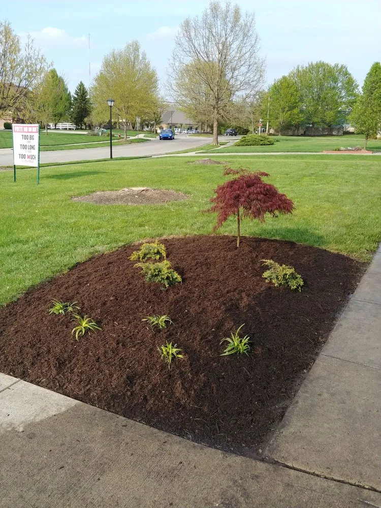 Professional yard cleanup service in Milford, OH - LTD Landscapes