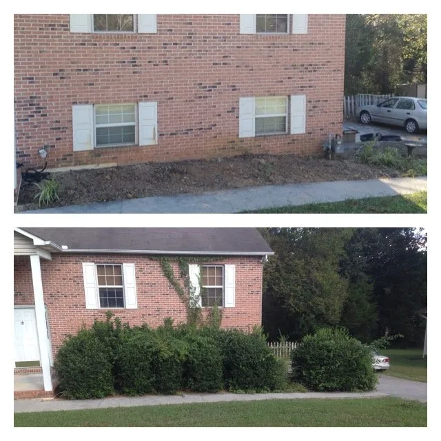 Custom yard maintenance experts serving Knoxville, TN - LTD Lawn Service