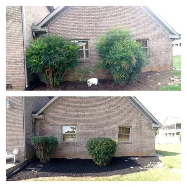 Local landscape design with custom design across Knoxville, TN - LTD Lawn Service