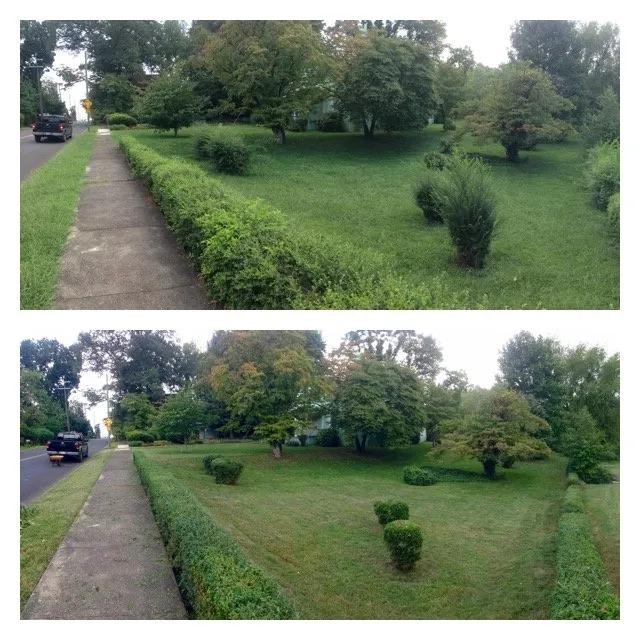 Custom landscaping services for outdoor upgrades in Knoxville, TN by LTD Lawn Service