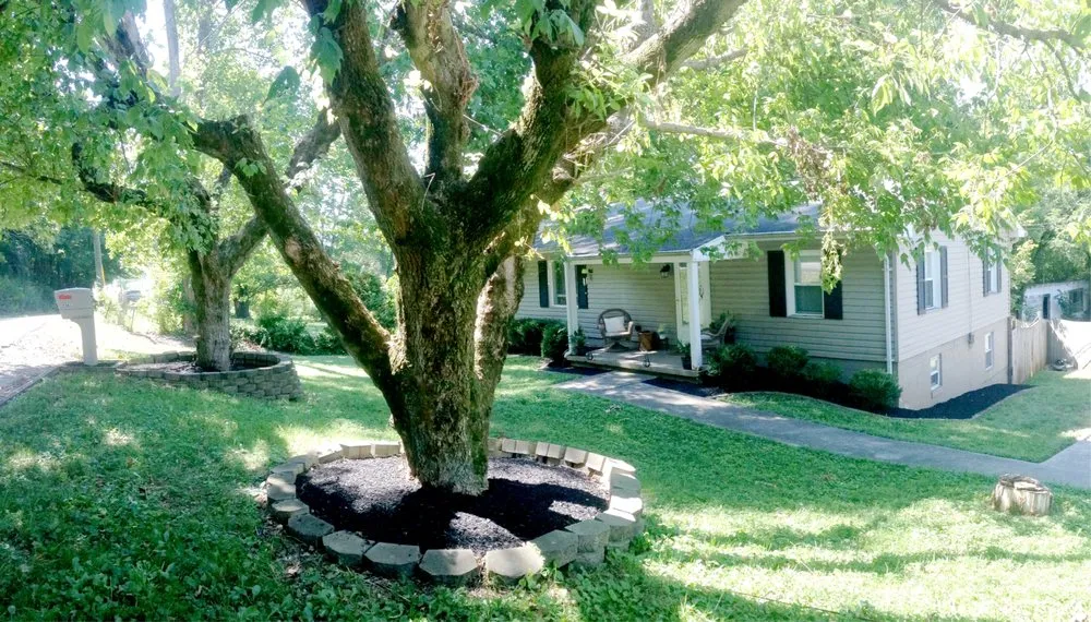 Reliable yard cleanup service experts serving Knoxville, TN - LTD Lawn Service