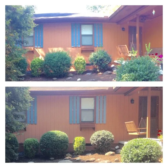 Reliable lawn care service for beautiful yards in Knoxville, TN by LTD Lawn Service