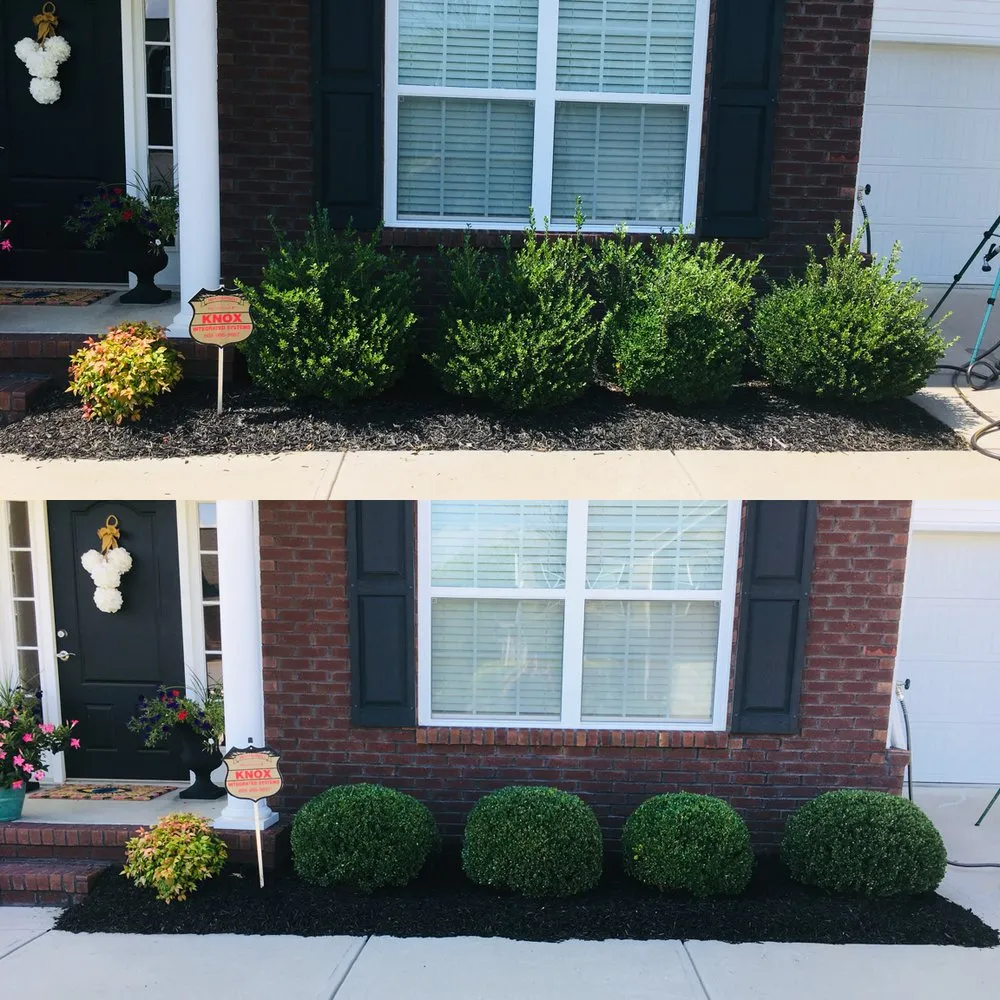 Professional yard cleanup service near you across Knoxville, TN - LTD Lawn Service