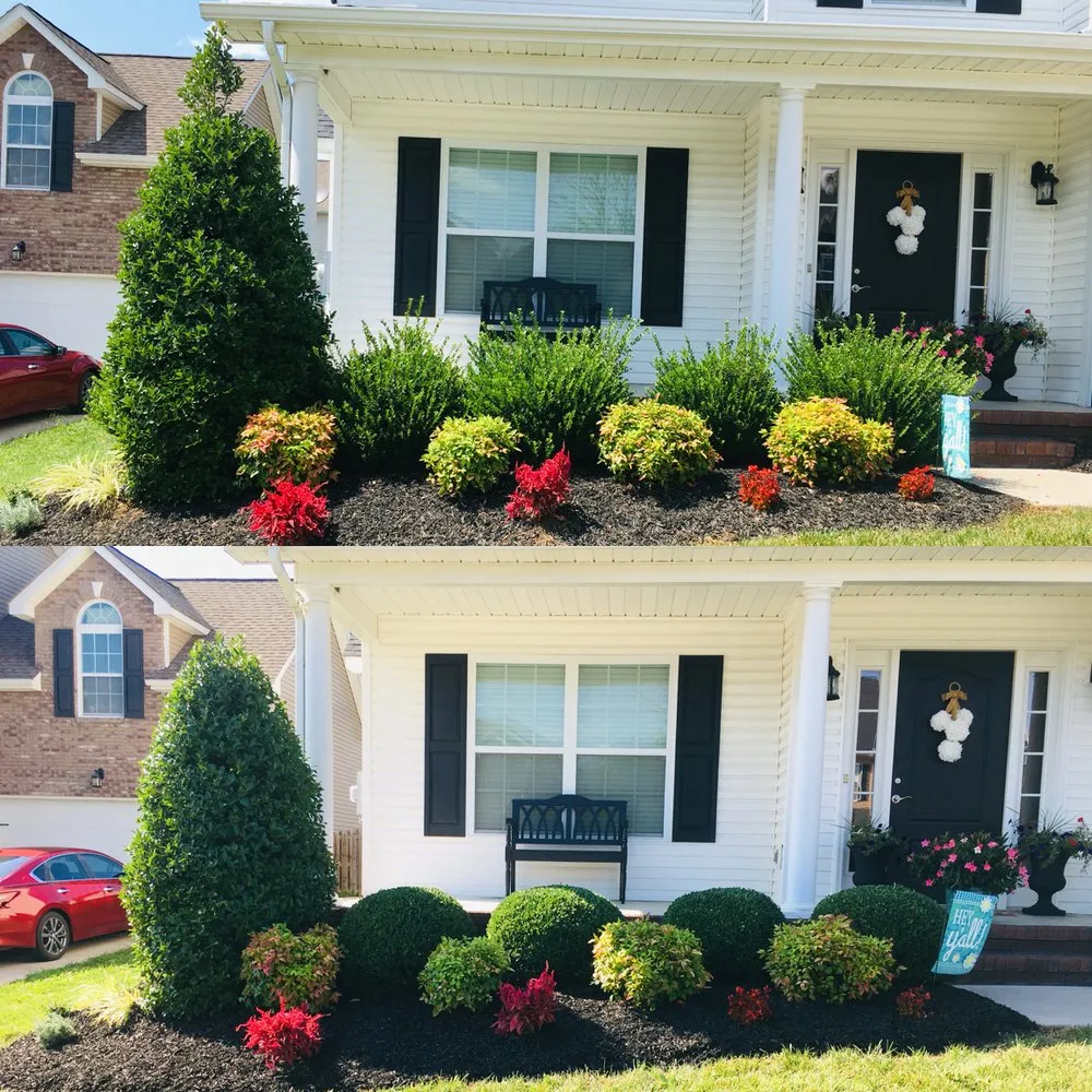 Top-rated landscaping services near you in Knoxville, TN by LTD Lawn Service
