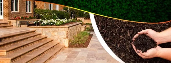 Ltg Lawn Texas Garden Logo