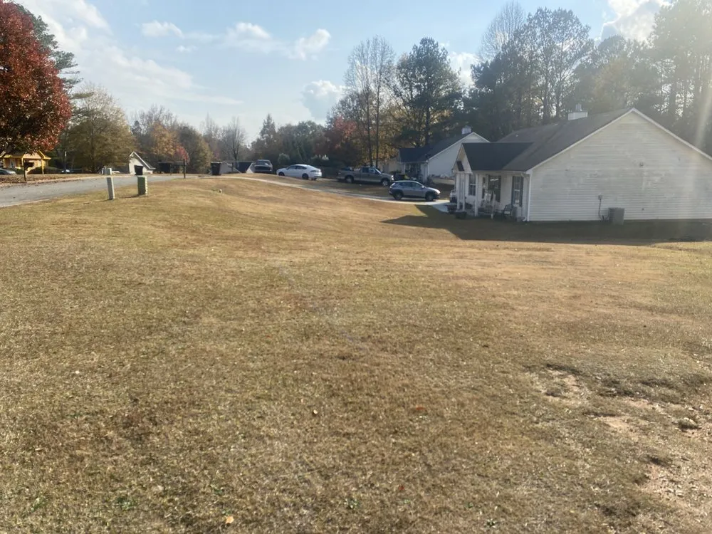 Reliable lawn care service in Newnan, GA - LTG Let’s Talk Grass and more