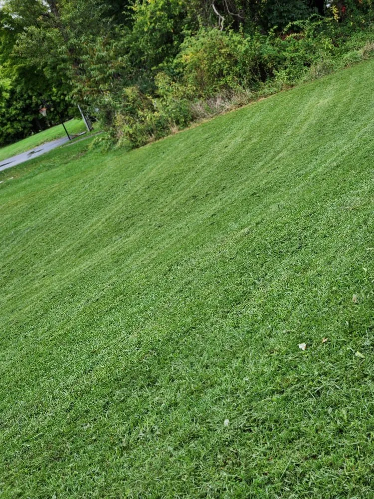 Expert landscape design for year-round maintenance across Stuarts Draft, VA - LTJ Services