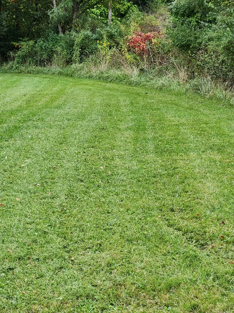 Reliable outdoor landscaping in Stuarts Draft, VA by LTJ Services