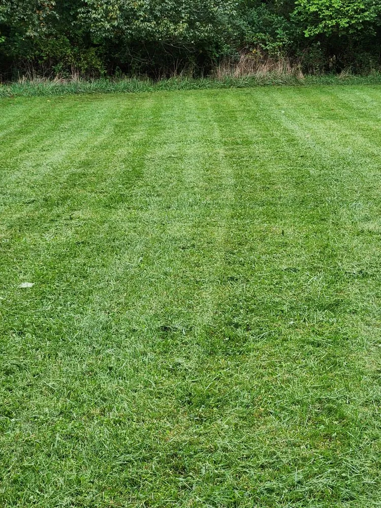 Local yard maintenance for year-round maintenance in Stuarts Draft, VA by LTJ Services