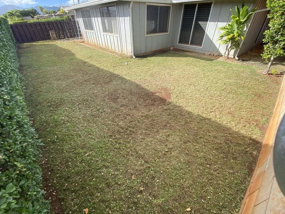 Affordable landscape design in Kapolei, HI by LTN Yard Services - Oahu's Best Yard Maintenance