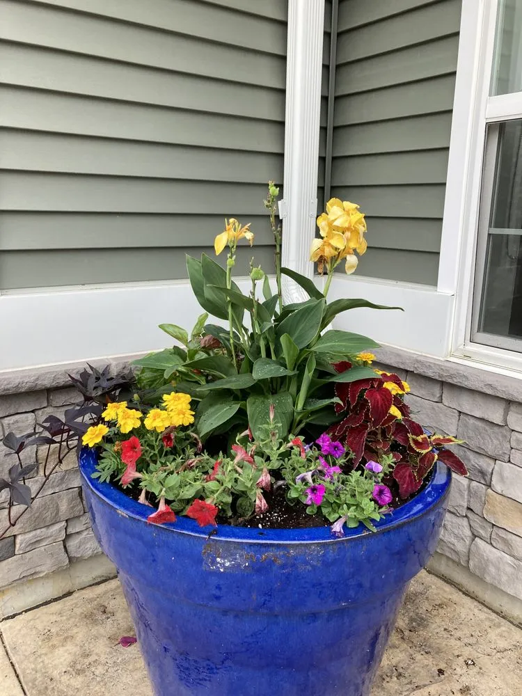 Expert yard maintenance in Tabernacle, NJ by LTR Services