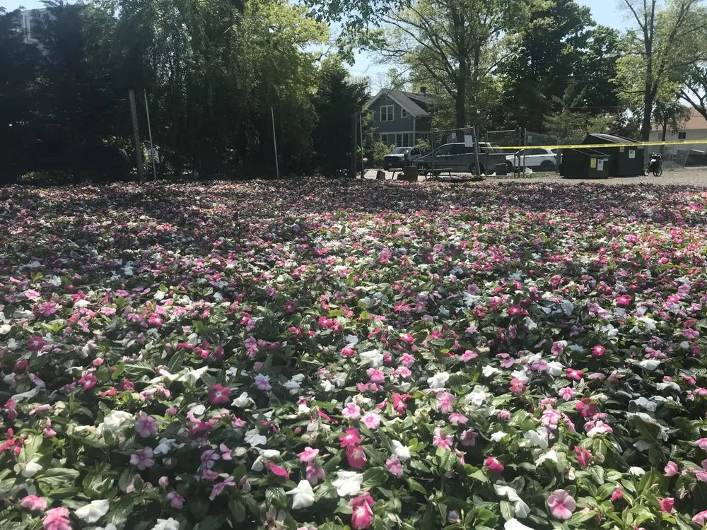 Top-rated yard maintenance experts serving Tabernacle, NJ - LTR Services