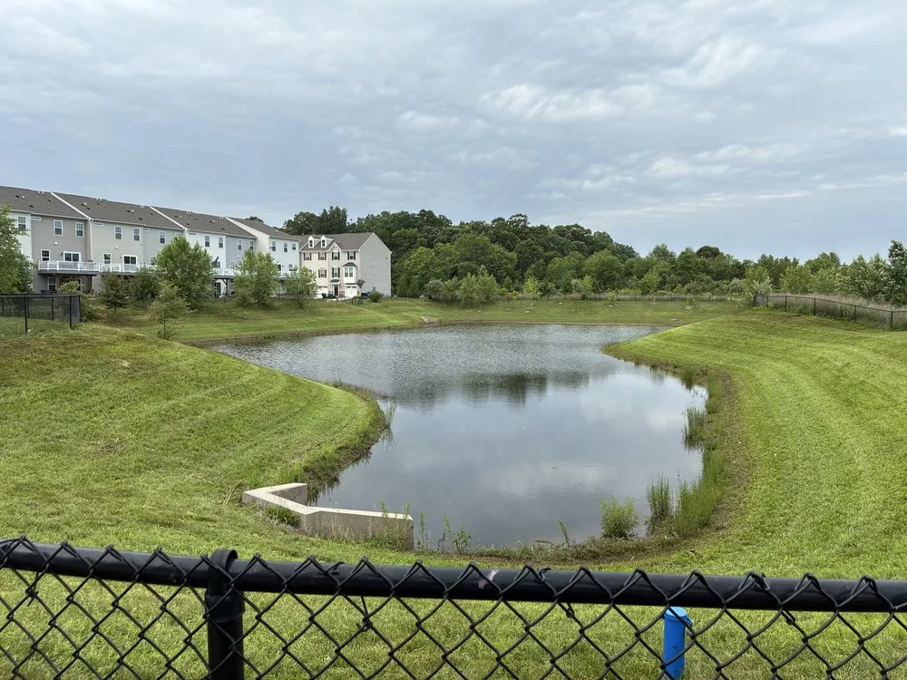 Professional yard cleanup service with custom design in Tabernacle, NJ by LTR Services