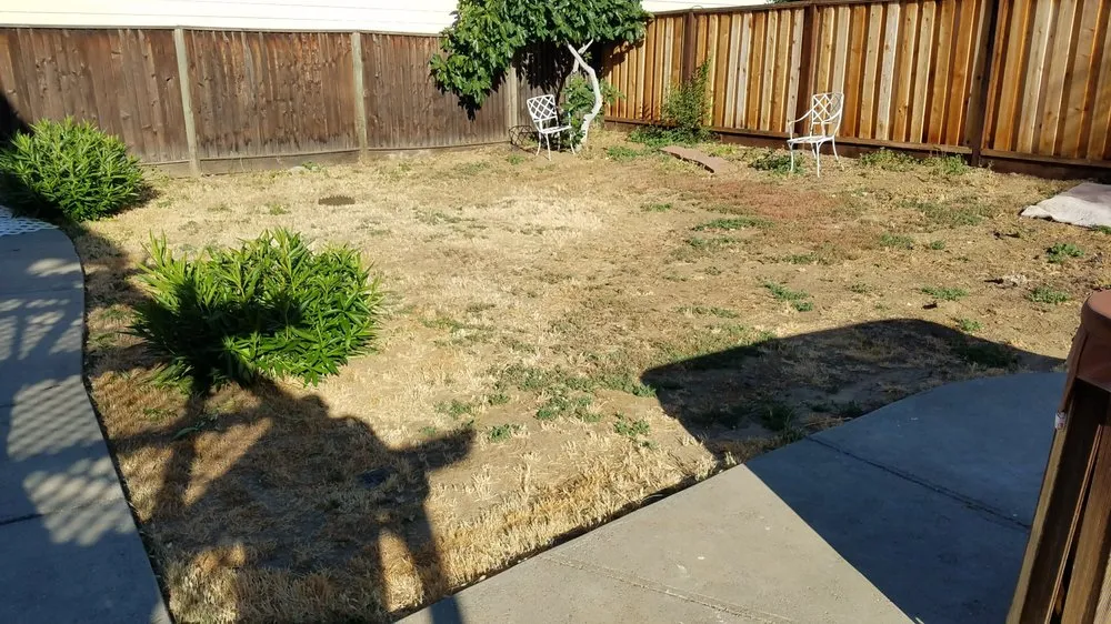 Expert lawn care service in Stockton, CA by Lu Brothers Landscaping Construction