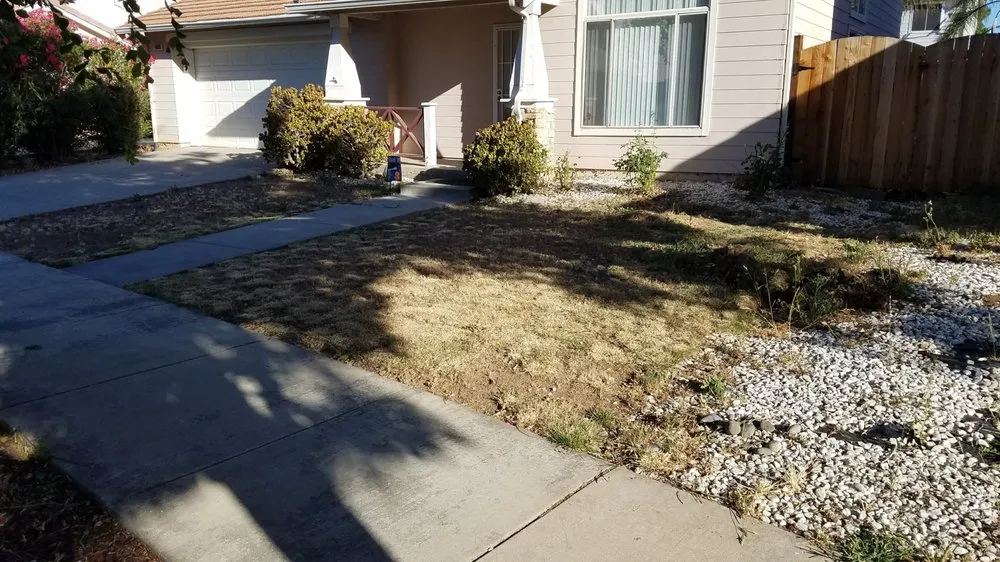 Custom landscape installation in Stockton, CA - Lu Brothers Landscaping Construction