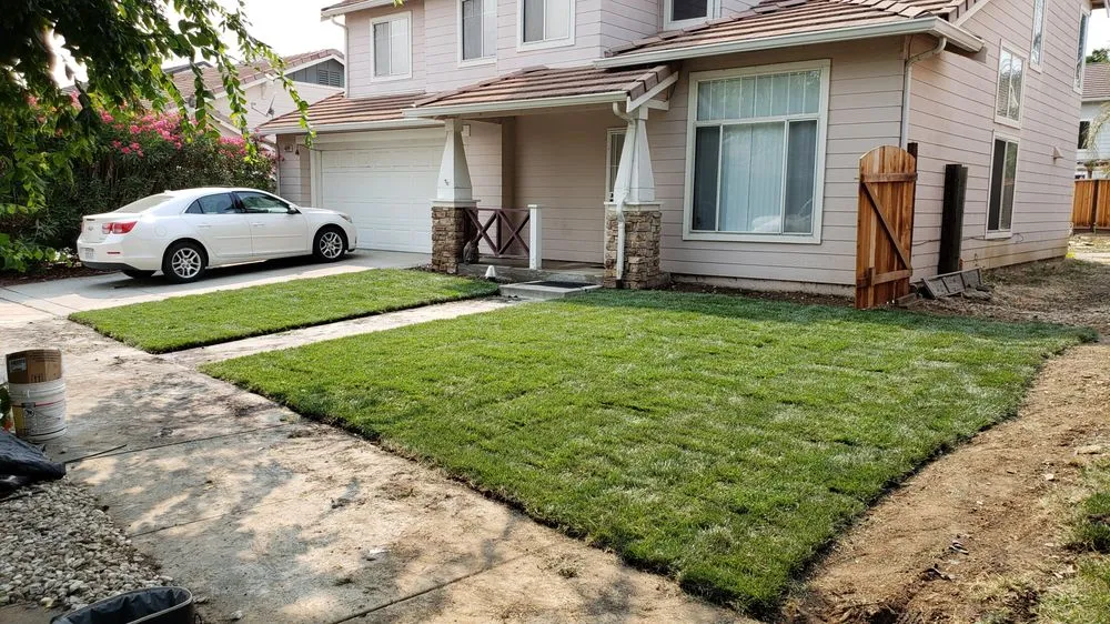 Trusted yard maintenance near you across Stockton, CA - Lu Brothers Landscaping Construction