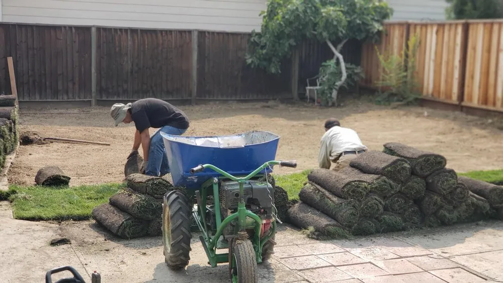 Custom lawn care service experts serving Stockton, CA - Lu Brothers Landscaping Construction