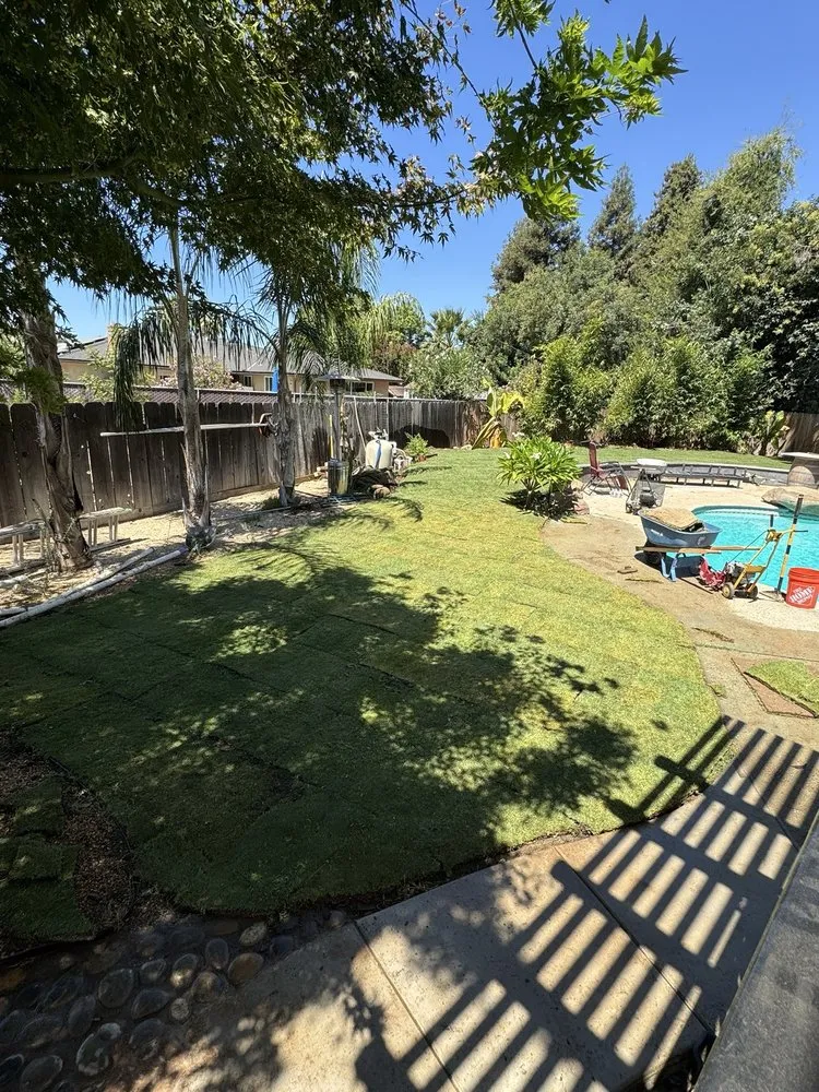 Custom yard cleanup service experts serving Fresno, CA - Lu Morales Landscaping and Turf
