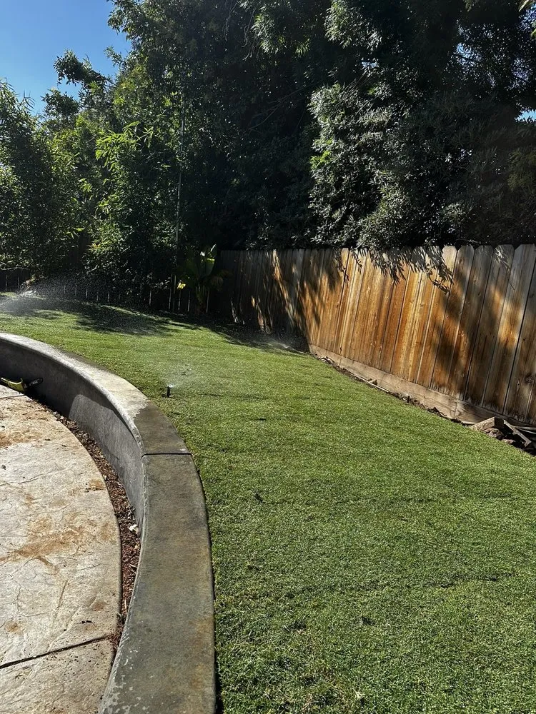 Local residential landscaping in Fresno, CA - Lu Morales Landscaping and Turf