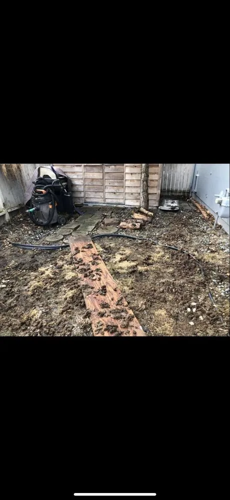 Trusted lawn care service in Anchorage, AK - Lu Van Berts