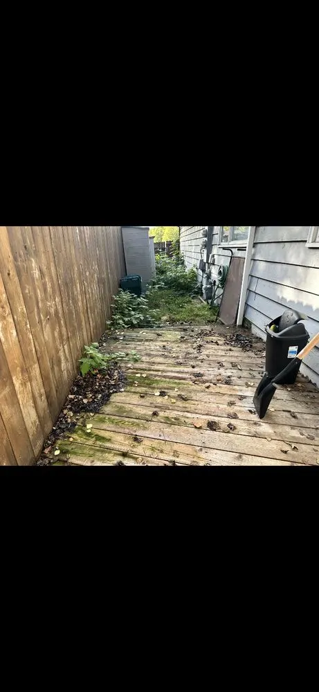 Expert lawn mowing service in Anchorage, AK - Lu Van Berts