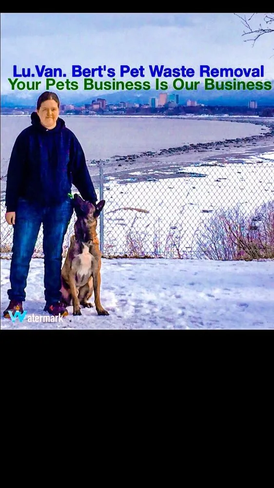 Expert yard cleanup service in Anchorage, AK by Lu Van Berts