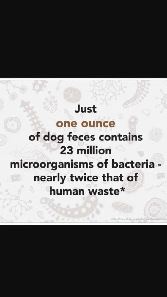 Professional yard cleanup service in Anchorage, AK - Lu Van Berts