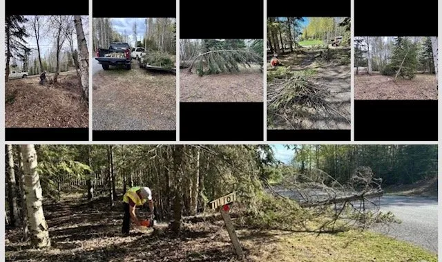 Custom lawn care service with custom design in Anchorage, AK by Lu Van Berts