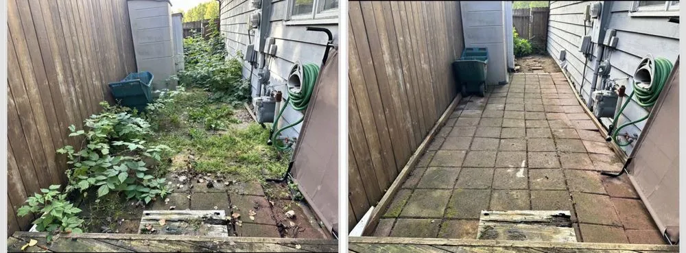 Trusted landscaping services experts serving Anchorage, AK - Lu Van Berts