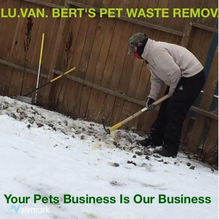 Local lawn care service in Anchorage, AK - Lu Van Berts