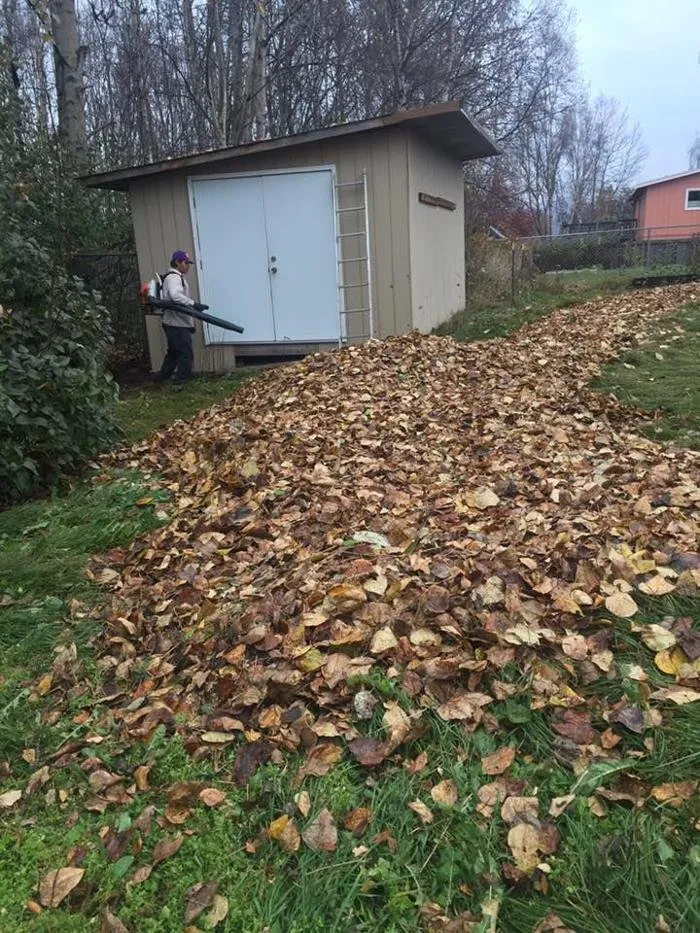 Custom landscape installation experts serving Anchorage, AK - Lu Van Berts