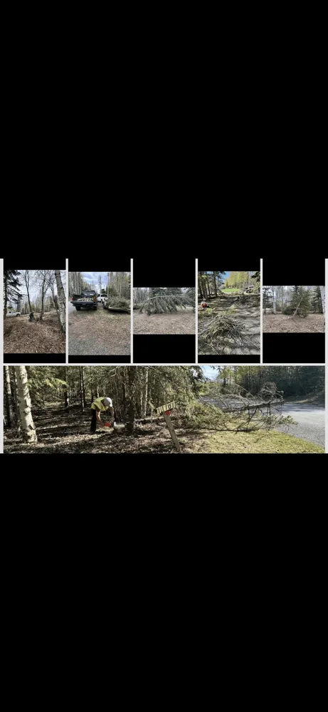 Top-rated garden landscaping experts serving Anchorage, AK - Lu Van Berts