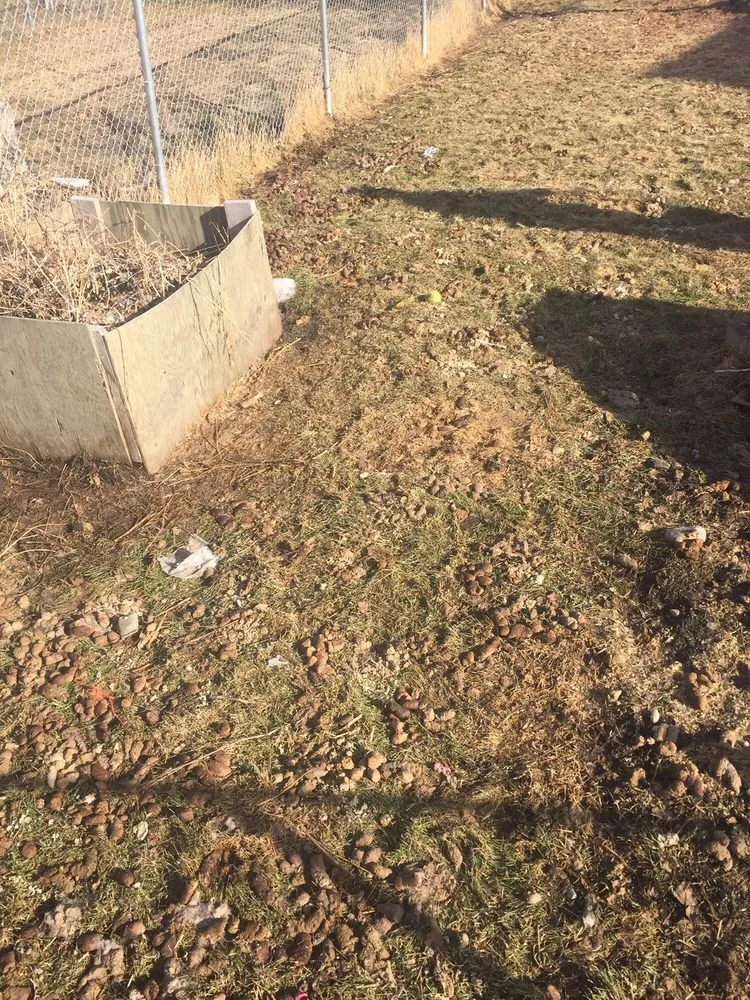 Expert landscaping services experts serving Anchorage, AK - Lu Van Berts