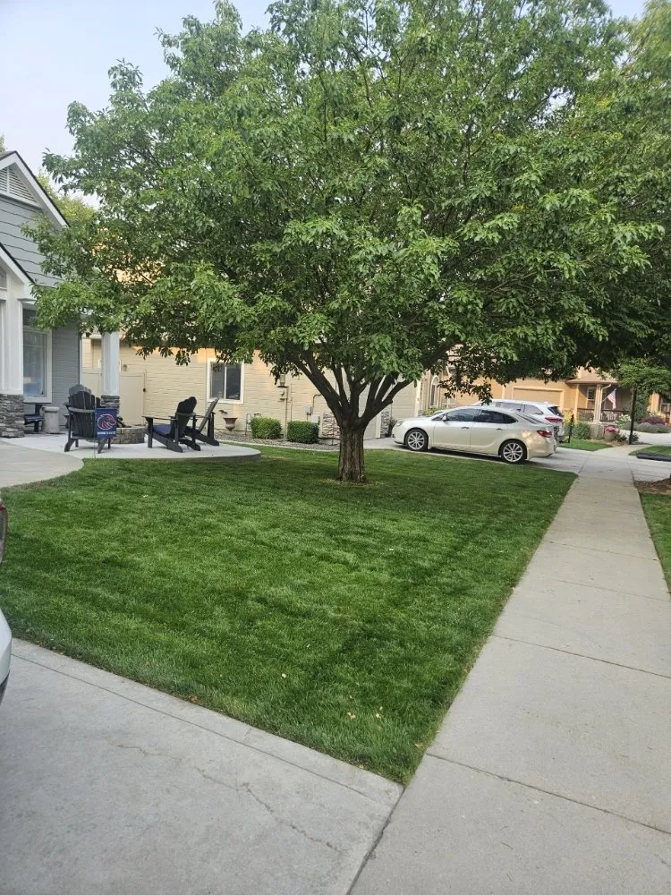 Reliable yard maintenance in Sagle, ID - Lua's Enterprises