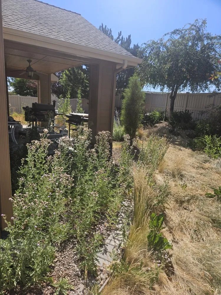 Professional landscaping services in Sagle, ID - Lua's Enterprises