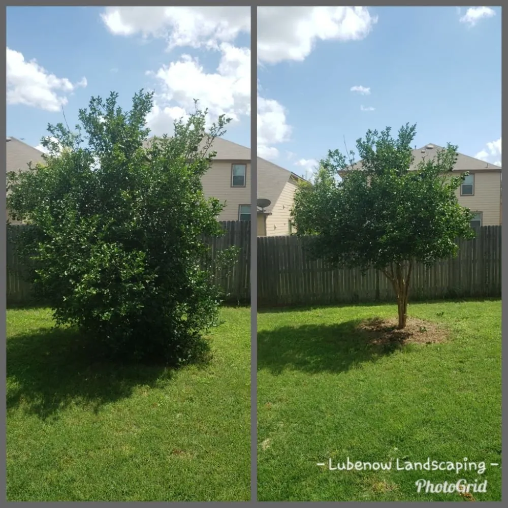 Professional landscaping services for homes across San Antonio, TX - Lubenow Landscaping & Home Services